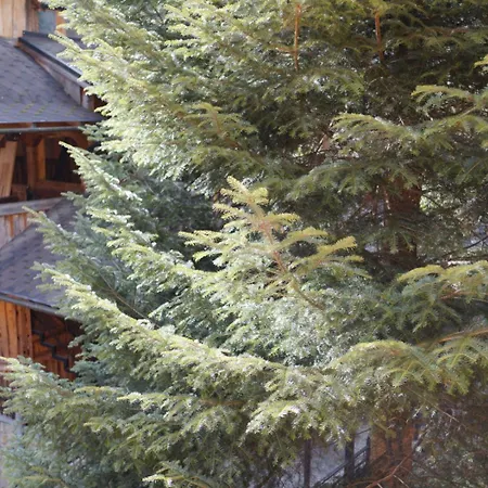 Nad Prutom Hotel Jaremtsche