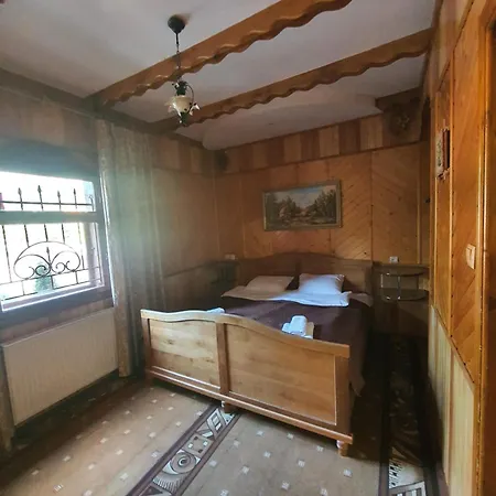 酒店 Nad Prutom