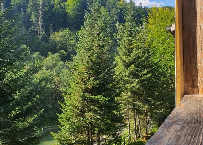 Отель Nad Prutom *