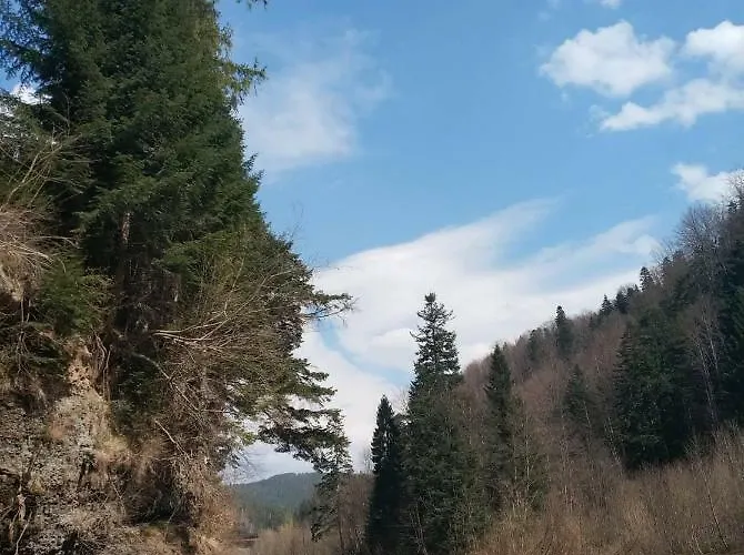 Nad Prutom Яремча