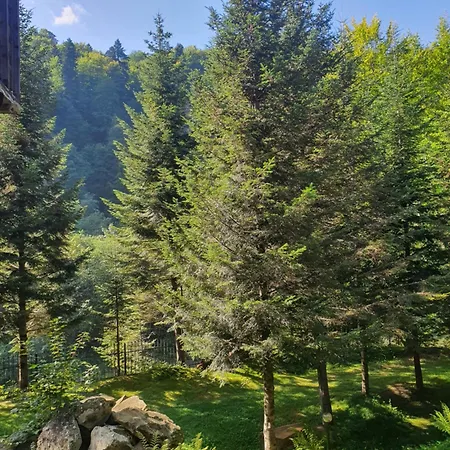 Nad Prutom Hotel Yaremche