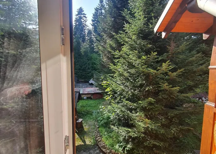 Hotel Nad Prutom *